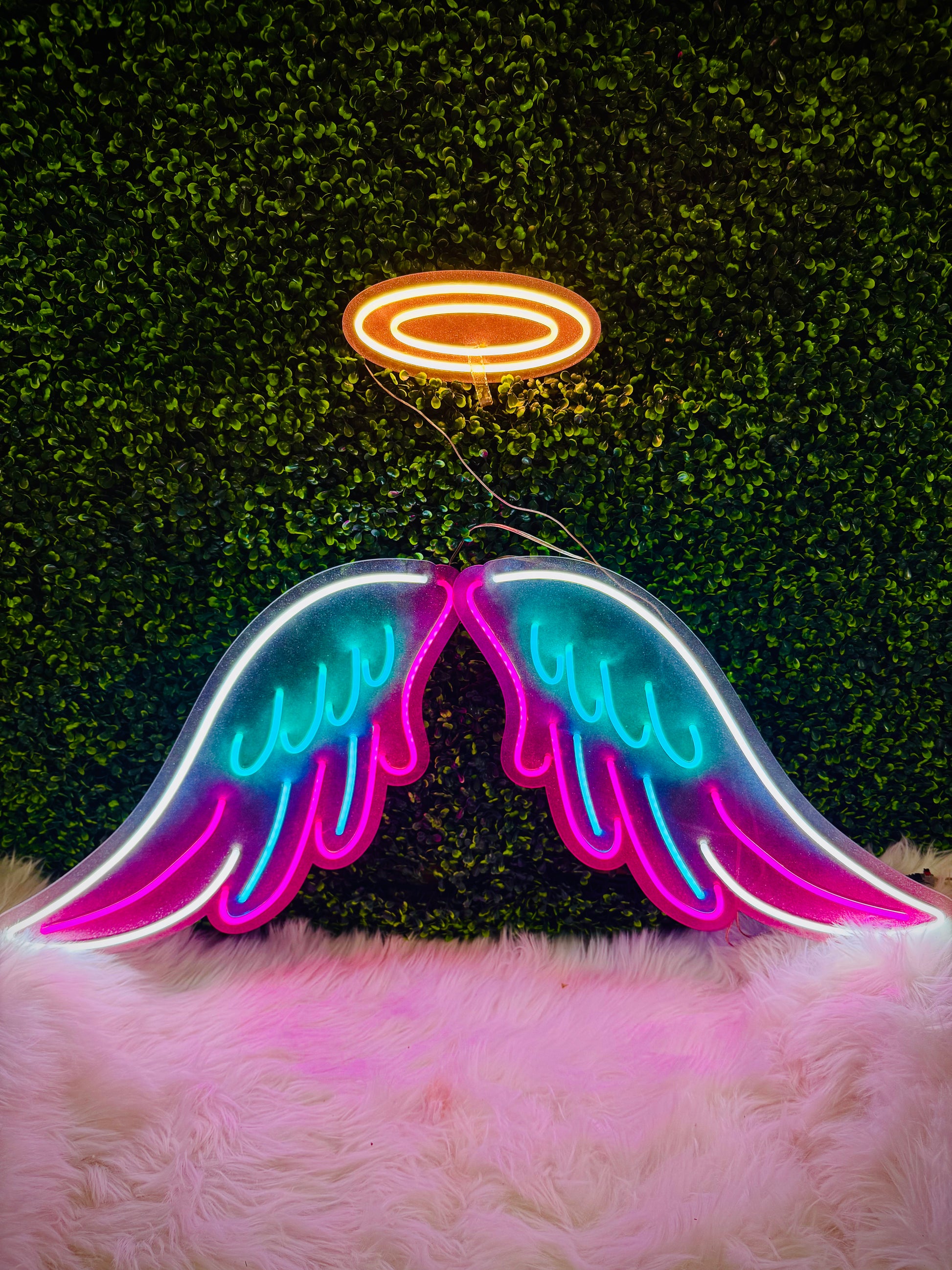 Neon Flex small Wings Glowing Signs Studio